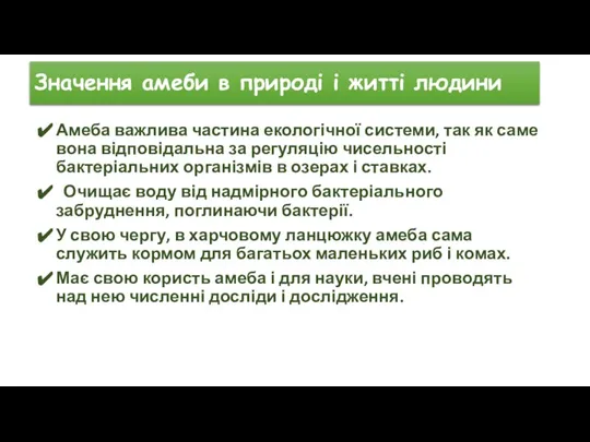 Значення амеби в природі і житті людини Амеба важлива частина екологічної системи,