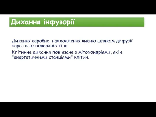 Дихання інфузорії Дихання аеробне, надходження кисню шляхом дифузії через всю поверхню тіла.