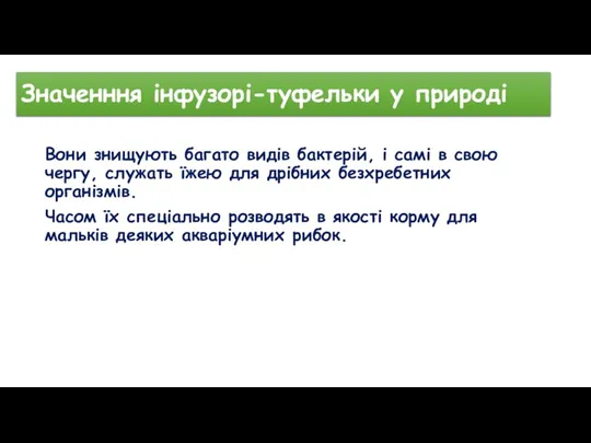 Значенння інфузорі-туфельки у природі Вони знищують багато видів бактерій, і самі в