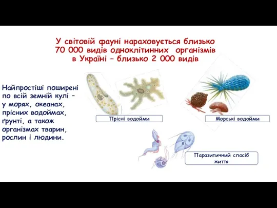 У світовій фауні нараховується близько 70 000 видів одноклітинних організмів в Україні