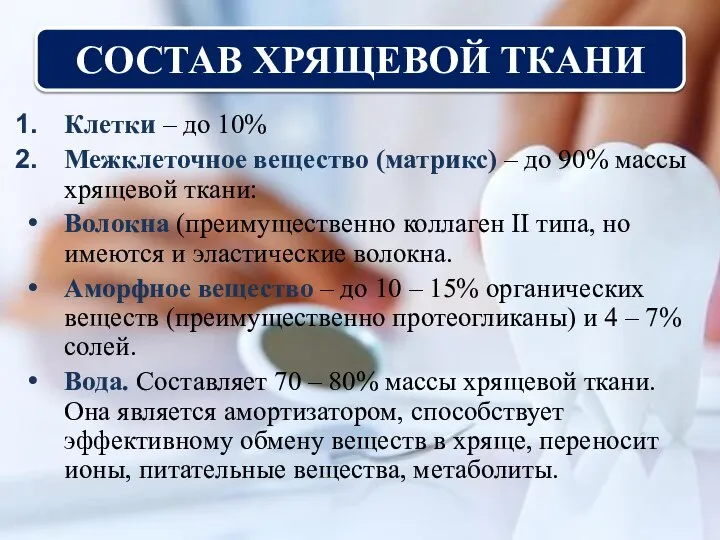 СОСТАВ ХРЯЩЕВОЙ ТКАНИ Клетки – до 10% Межклеточное вещество (матрикс) – до