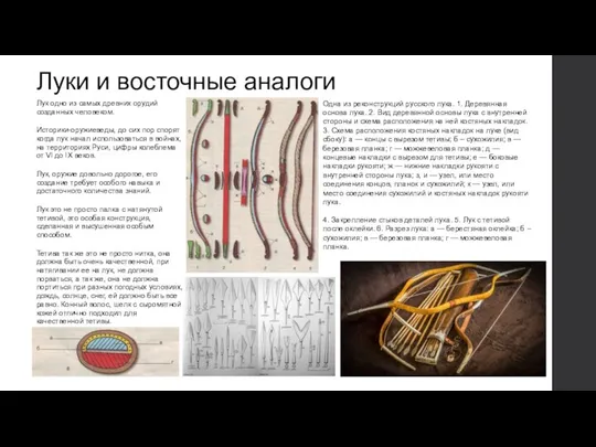 Луки и восточные аналоги Лук одно из самых древних орудий созданных человеком.