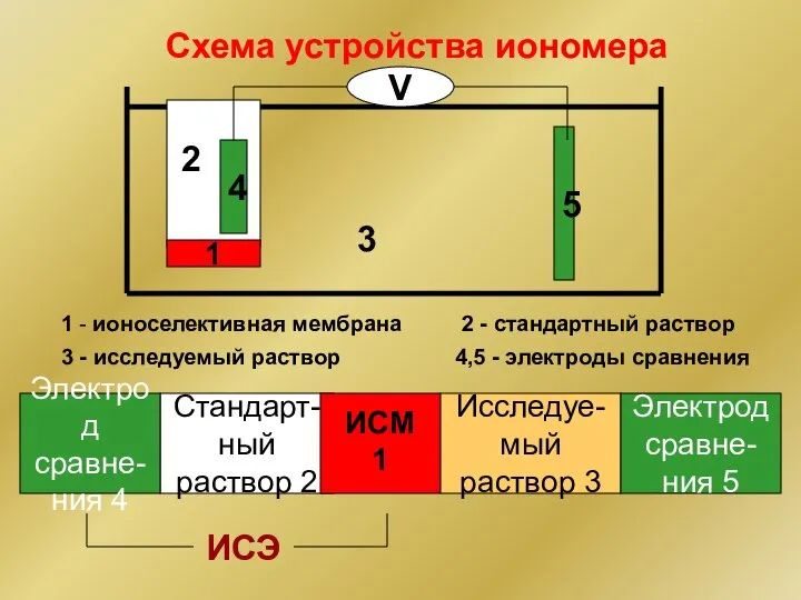 Стандарт- ный раствор 2 ИСМ 1 3 1 2 1 - ионоселективная