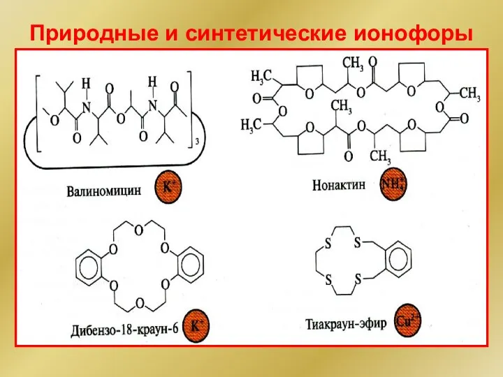 Природные и синтетические ионофоры