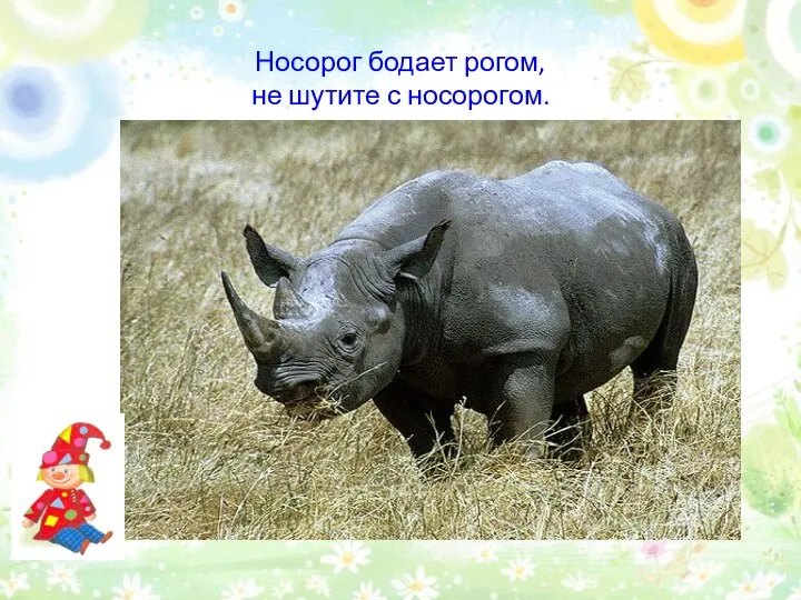 Носорог бодает рогом, не шутите с носорогом.