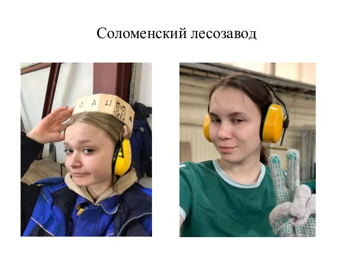 Соломенский лесозавод