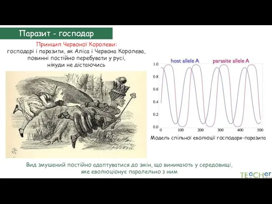 Модель спільної еволюції господаря-паразита Паразит - господар Принцип Червоної Королеви: господарі і