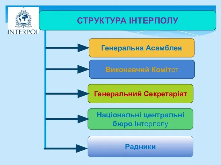 СТРУКТУРА ІНТЕРПОЛУ Генеральна Асамблея Виконавчий Комітет Генеральний Секретаріат Національні центральні бюро Інтерполу Радники