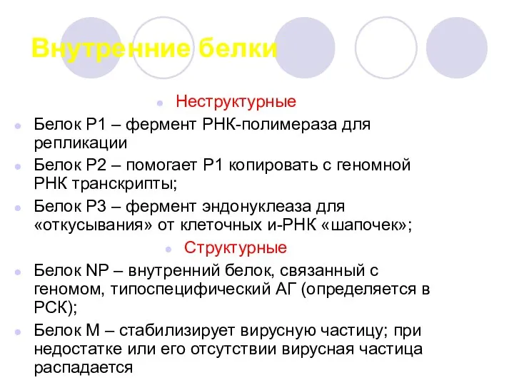 Внутренние белки Неструктурные Белок Р1 – фермент РНК-полимераза для репликации Белок Р2