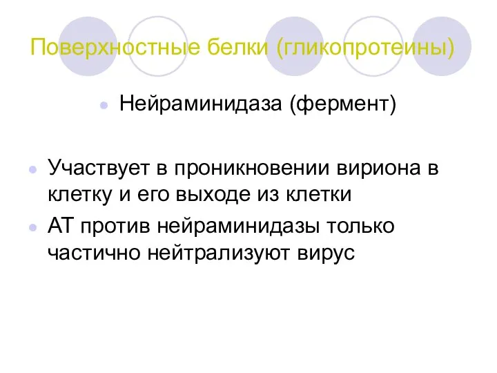 Поверхностные белки (гликопротеины) Нейраминидаза (фермент) Участвует в проникновении вириона в клетку и