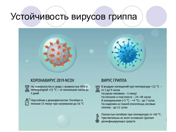 Устойчивость вирусов гриппа