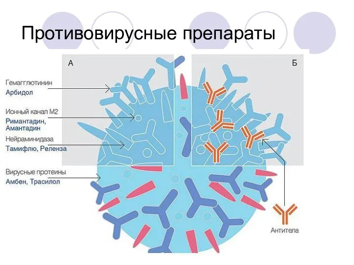 Противовирусные препараты