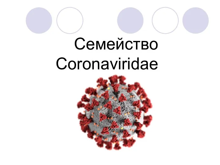 Семейство Coronaviridae