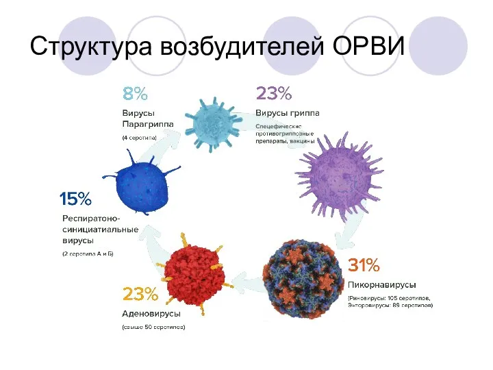 Структура возбудителей ОРВИ