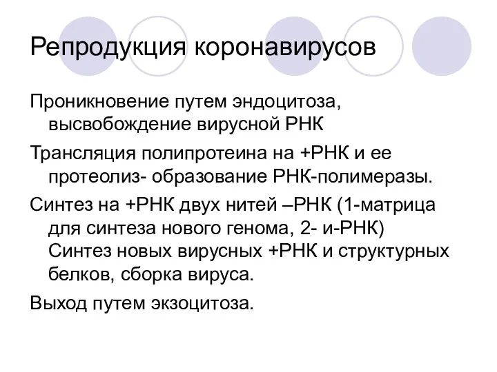 Репродукция коронавирусов Проникновение путем эндоцитоза, высвобождение вирусной РНК Трансляция полипротеина на +РНК