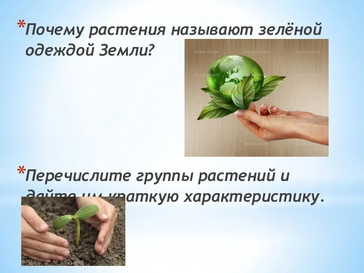 Почему растения называют зелёной одеждой Земли? Перечислите группы растений и дайте им краткую характеристику.