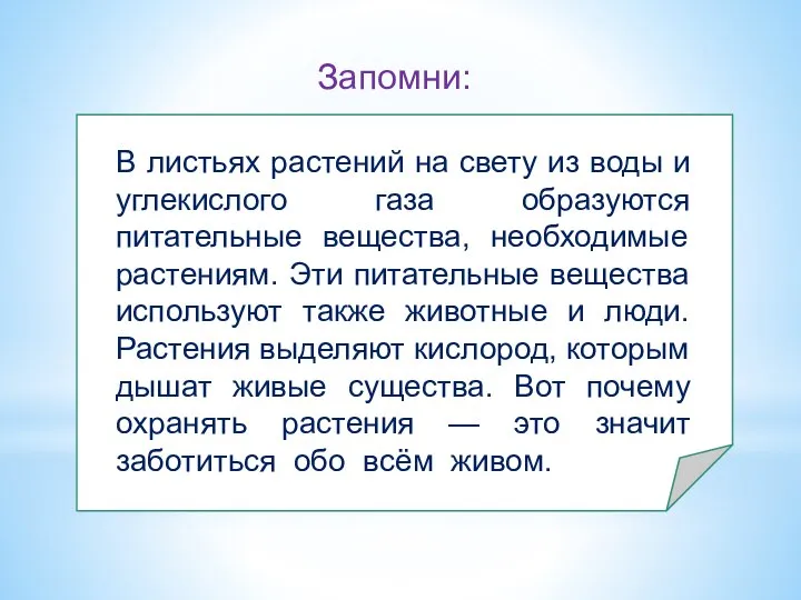 В листьях растений на свету из воды и углекислого газа образуются питательные