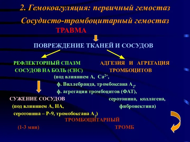 2. Гемокоагуляция: первичный гемостаз Сосудисто-тромбоцитарный гемостаз ТРАВМА ПОВРЕЖДЕНИЕ ТКАНЕЙ И СОСУДОВ РЕФЛЕКТОРНЫЙ