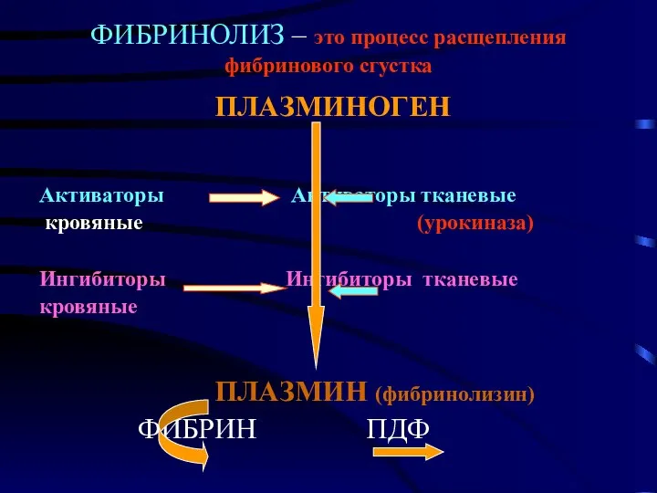 ФИБРИНОЛИЗ – это процесс расщепления фибринового сгустка ПЛАЗМИНОГЕН Активаторы Активаторы тканевые кровяные