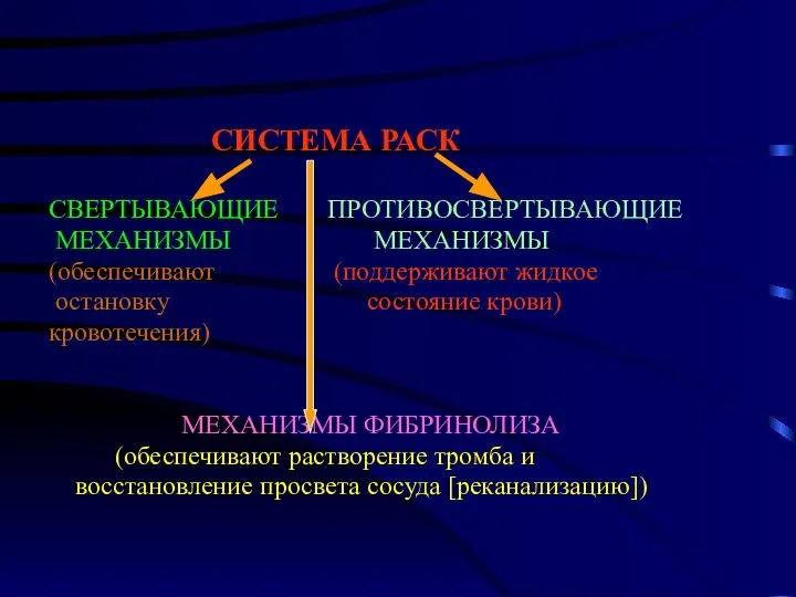 СИСТЕМА РАСК СВЕРТЫВАЮЩИЕ ПРОТИВОСВЕРТЫВАЮЩИЕ МЕХАНИЗМЫ МЕХАНИЗМЫ (обеспечивают (поддерживают жидкое остановку состояние крови)