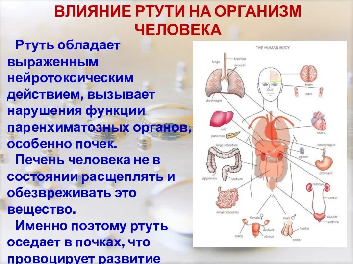 Ртуть обладает выраженным нейротоксическим действием, вызывает нарушения функции паренхиматозных органов, особенно почек.