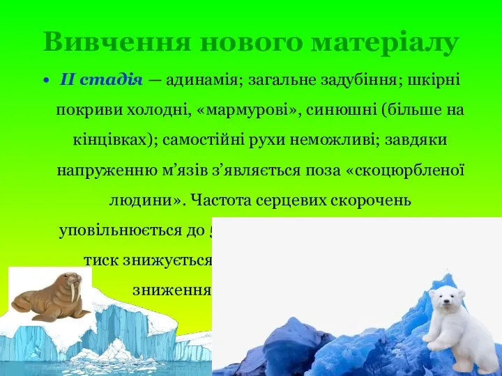 Вивчення нового матеріалу II стадія — адинамія; загальне задубіння; шкірні покриви холодні,