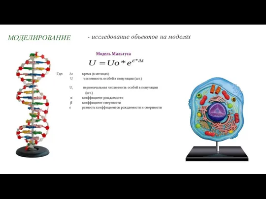 МОДЕЛИРОВАНИЕ - исследование объектов на моделях