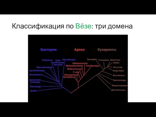 Классификация по Вёзе: три домена