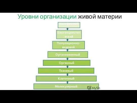 Уровни организации живой материи