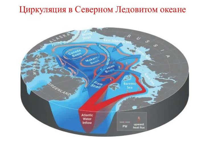 Циркуляция в Северном Ледовитом океане