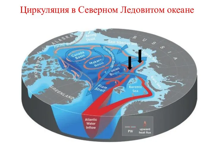 Циркуляция в Северном Ледовитом океане