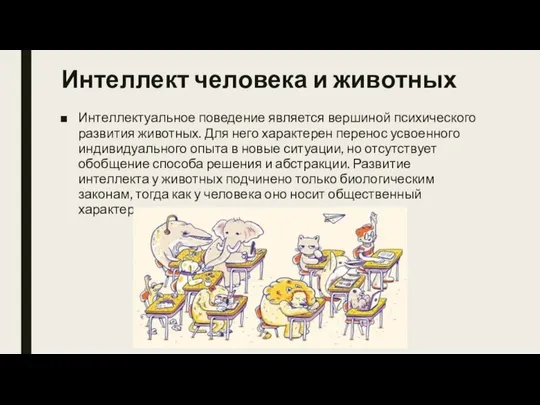 Интеллект человека и животных Интеллектуальное поведение является вершиной психического развития животных. Для