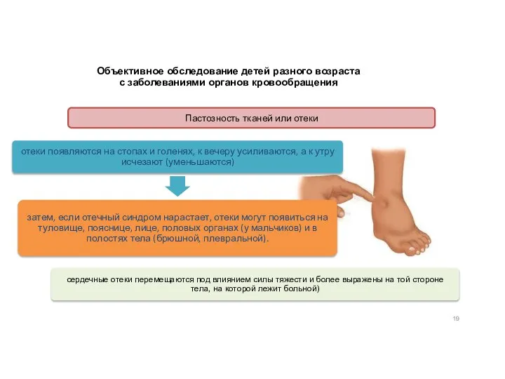 Объективное обследование детей разного возраста с заболеваниями органов кровообращения Пастозность тканей или отеки