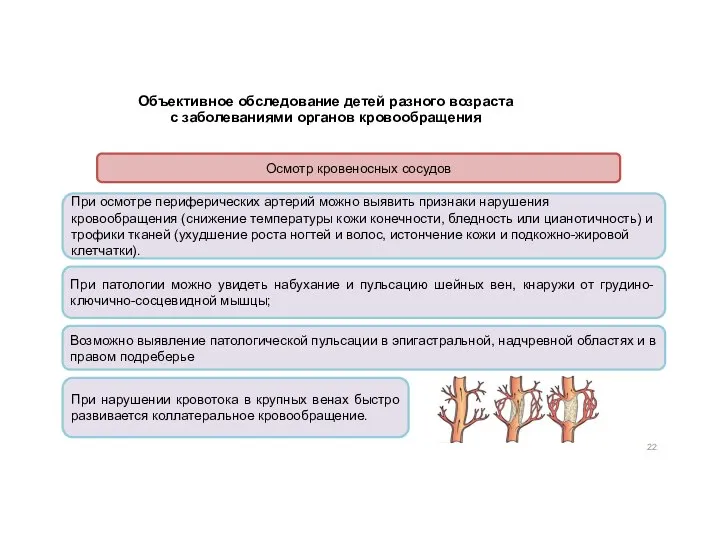 Объективное обследование детей разного возраста с заболеваниями органов кровообращения Осмотр кровеносных сосудов