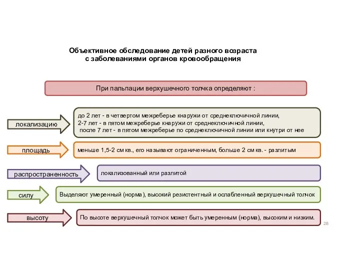 Объективное обследование детей разного возраста с заболеваниями органов кровообращения При пальпации верхушечного