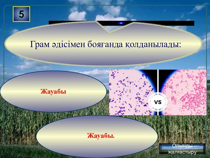 Жауабы. Жауабы 5 Ойынды жалғастыру Грам әдiсiмен бояғанда қолданылады: