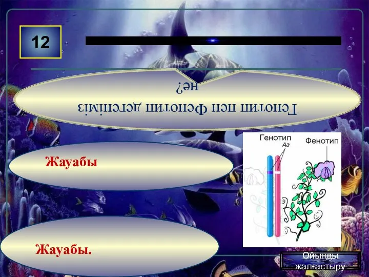 Жауабы. Жауабы 12 Генотип пен Фенотип дегеніміз не? Ойынды жалғастыру