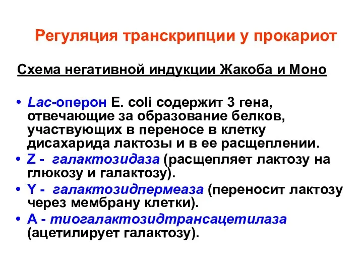 Регуляция транскрипции у прокариот Схема негативной индукции Жакоба и Моно Lac-оперон E.