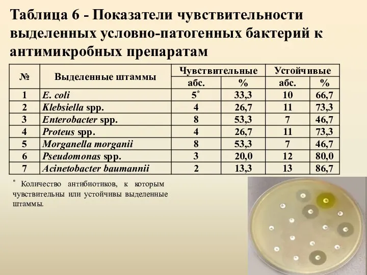 Таблица 6 - Показатели чувствительности выделенных условно-патогенных бактерий к антимикробных препаратам *