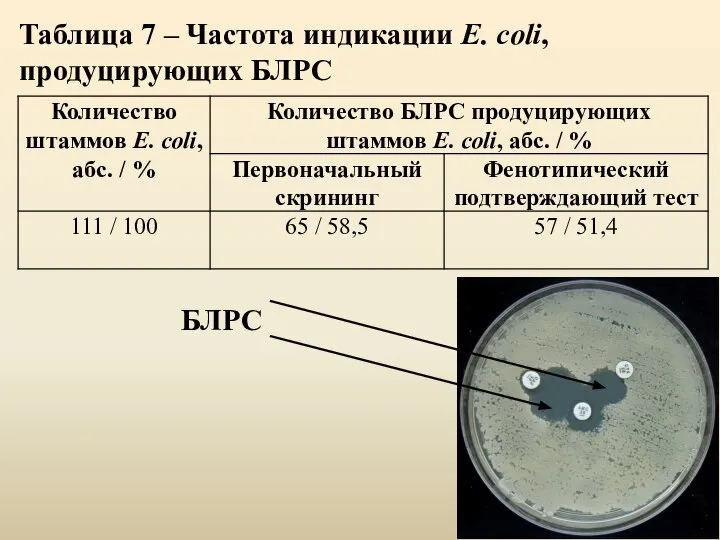 Таблица 7 – Частота индикации E. coli, продуцирующих БЛРС БЛРС