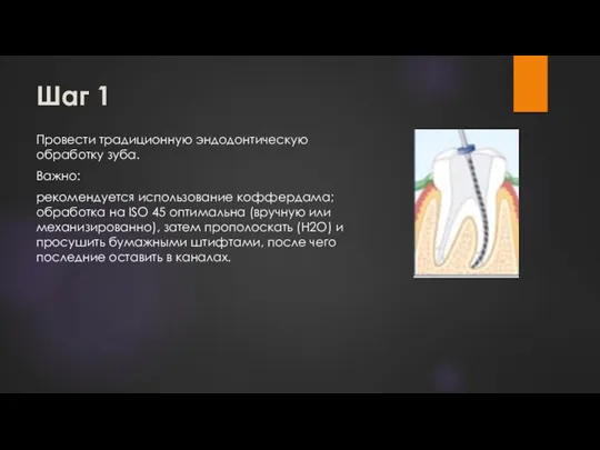 Шаг 1 Провести традиционную эндодонтическую обработку зуба. Важно: рекомендуется использование коффердама; обработка