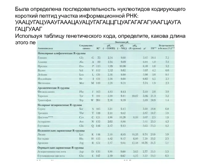 Была определена последовательность нуклеотидов кодирующего короткий пептид участка информационной РНК: УААЦУГАЦУААУГАААЦАУАЦУГАГАЦЦГЦУАГАГАГАГУААГЦАУГАГАЦГУААГ Используя