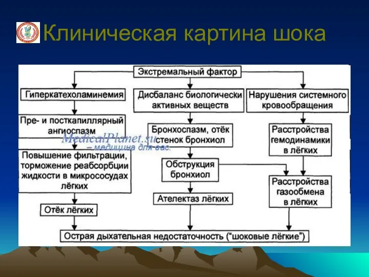 Клиническая картина шока