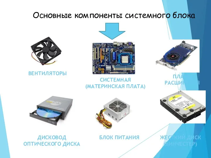 Основные компоненты системного блока СИСТЕМНАЯ (МАТЕРИНСКАЯ ПЛАТА) ЖЕСТКИЙ ДИСК (ВИНЧЕСТЕР) БЛОК ПИТАНИЯ