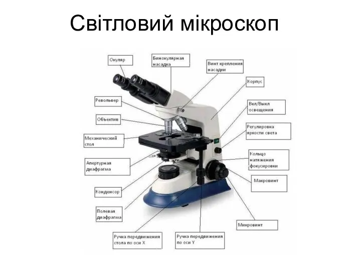 Світловий мікроскоп