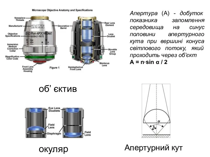 Апертурний кут окуляр об’ єктив Апертура (А) - добуток показника заломлення середовища