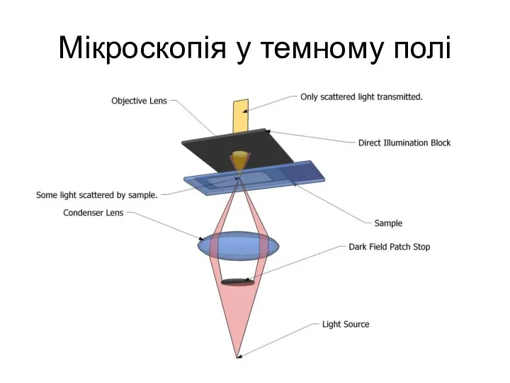 Мікроскопія у темному полі