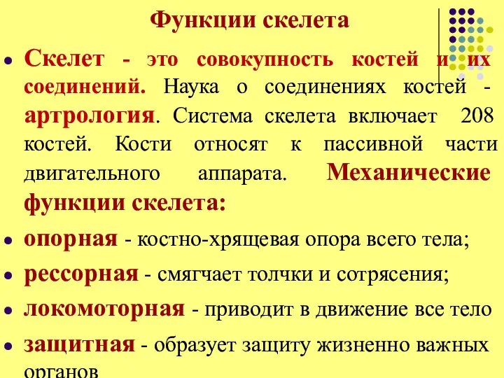 Функции скелета Скелет - это совокупность костей и их соединений. Наука о