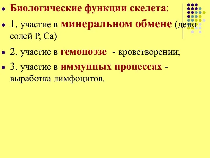 Биологические функции скелета: 1. участие в минеральном обмене (депо солей P, Ca)