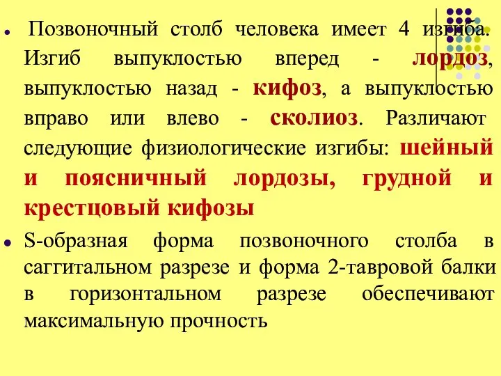 Позвоночный столб человека имеет 4 изгиба. Изгиб выпуклостью вперед - лордоз, выпуклостью